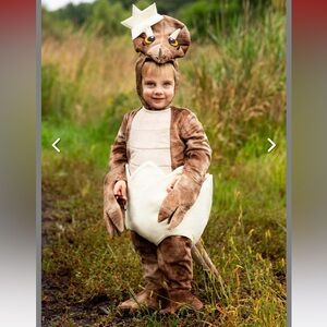 Toddler Tiny Triceratops Halloween
Costume